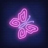 butterfly neon